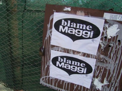 blame maggi