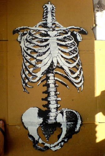 bones_wooster_001