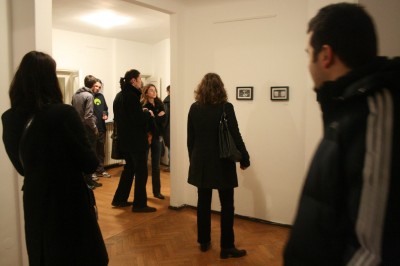 pisica_patrata_mora_003
