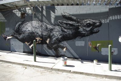 ROA Street Art