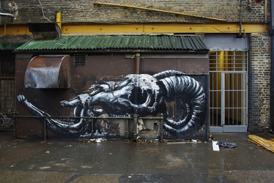 ROA Street Art