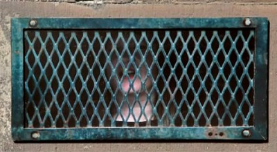 Dan Witz's WHAT THE %$#@?