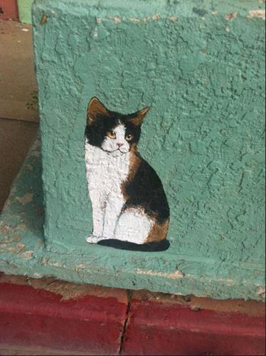 Arizona Cats Street Art