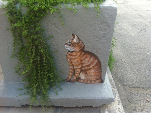 Arizona Cats Street Art